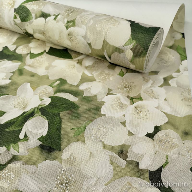 28/img_68e1cc789eb1a