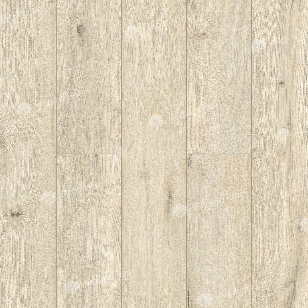 29/img_68e48ca2a6926