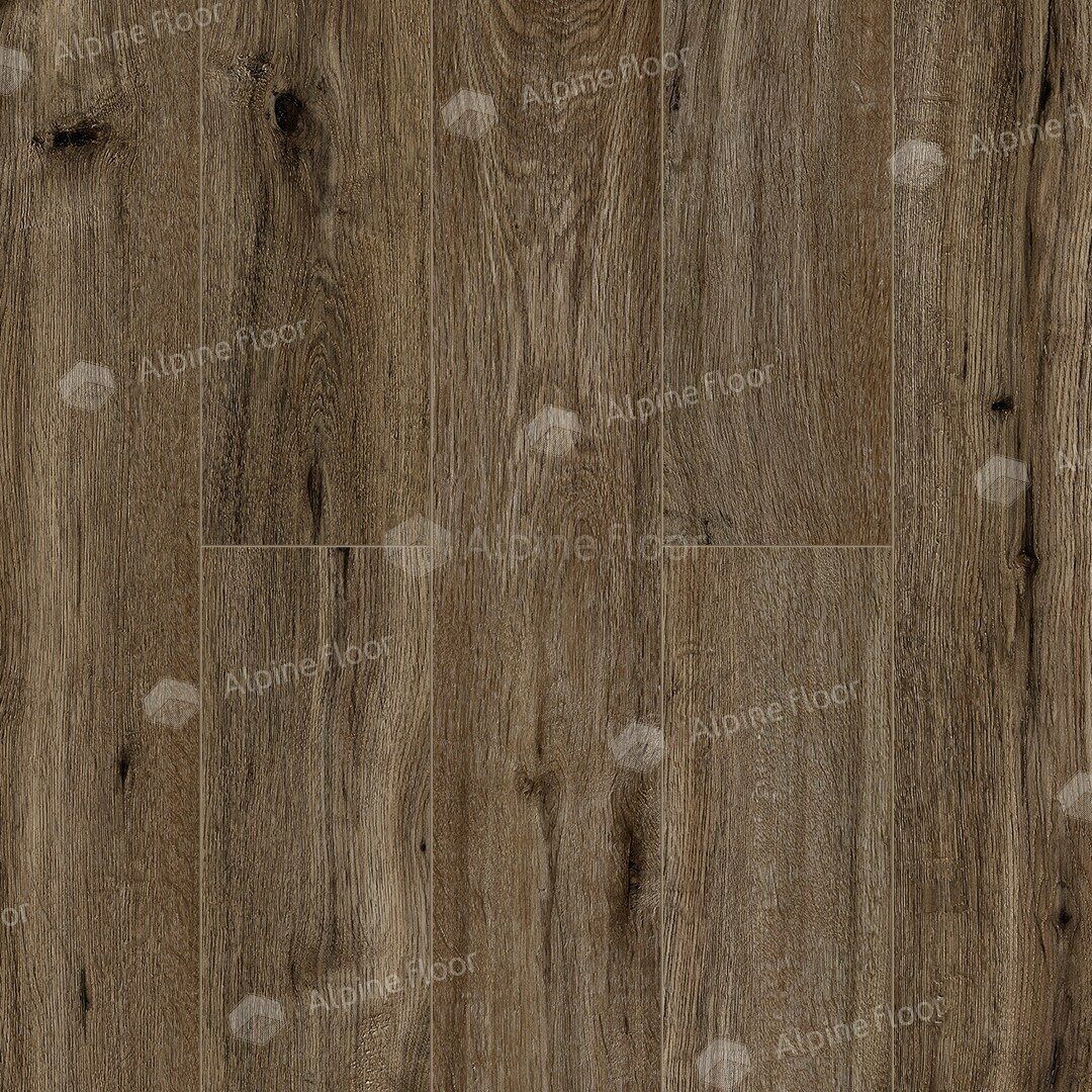 29/img_68e48cb8ba47f