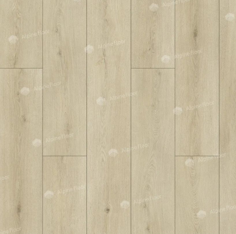 30/img_698fd82d14db2