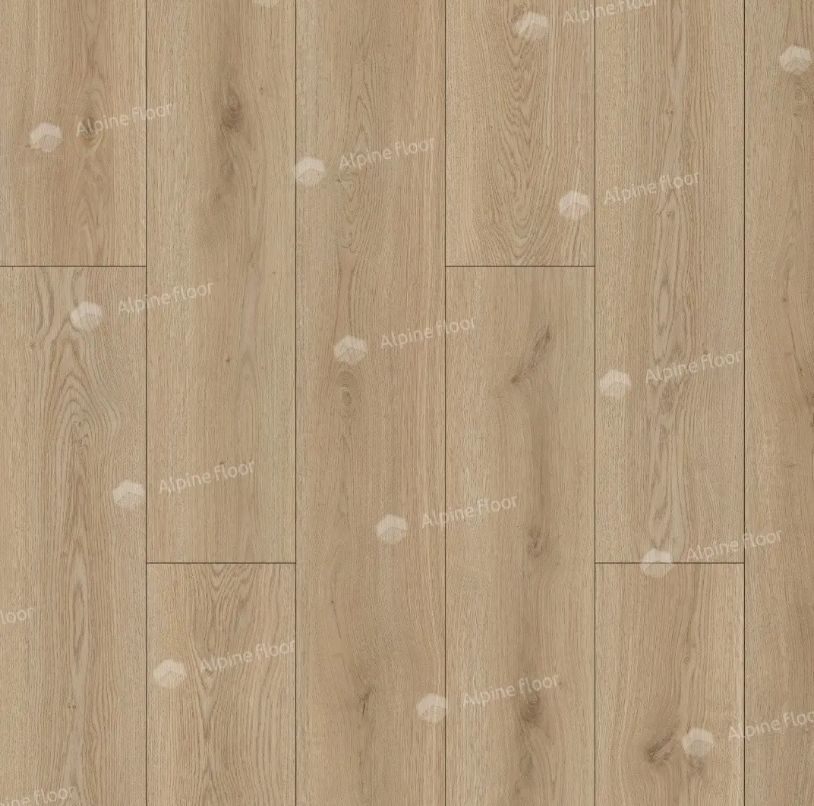 30/img_698fd82d8b5b1