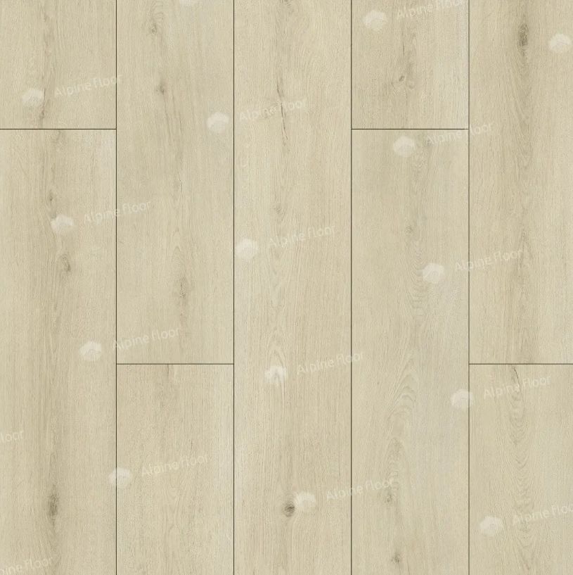 30/img_698fd8324a16c