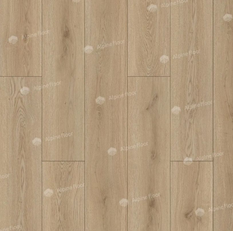 30/img_698fd832eaa64