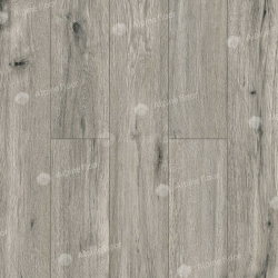 10/alfr-0010_2900_1