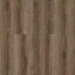 10/alfr-0014_2904_1